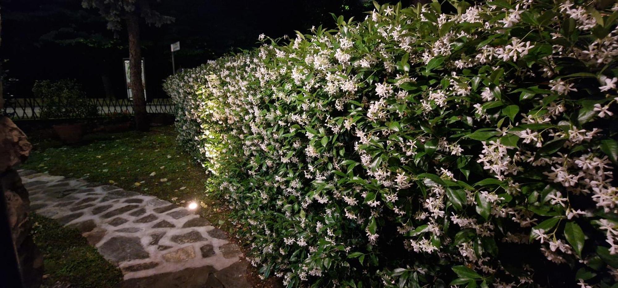 B&B Casa Tessieri Λούκα Εξωτερικό φωτογραφία